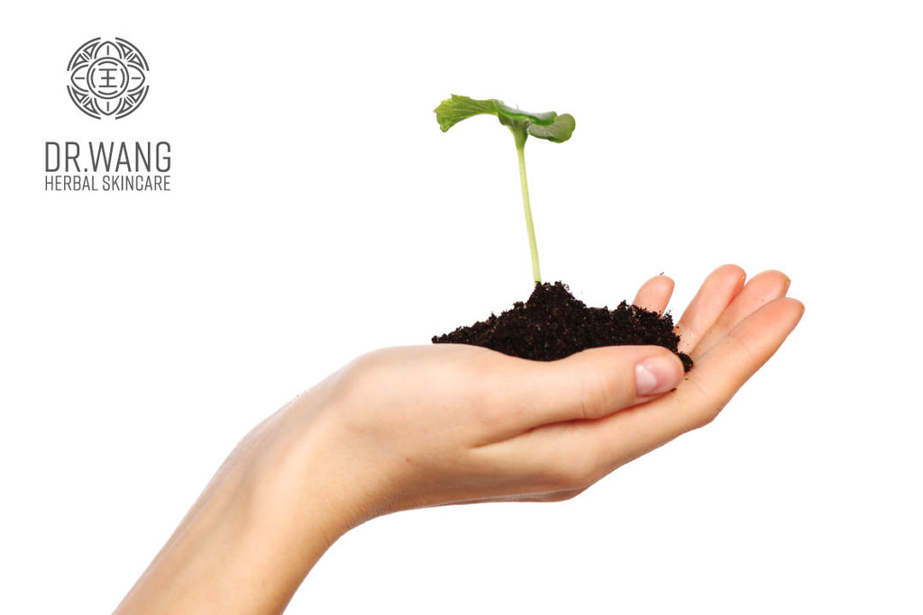 Environmental Benefits of Simple Skincare Routines