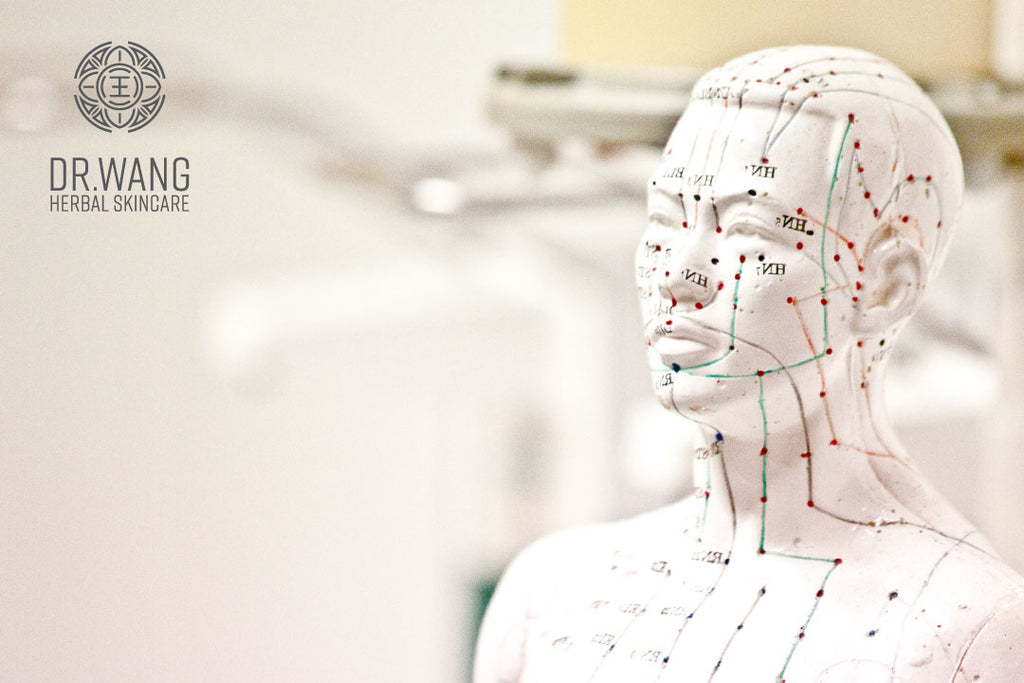 Underlying Causes of Skin Health Issues From TCM Perspective