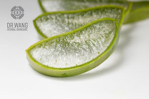 What Makes Aloe So Great for Skin?