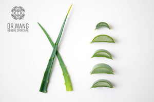 Why Aloe is so Great for Sensitive Skin