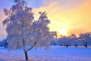 16 Tips to Prevent the Winter Itch